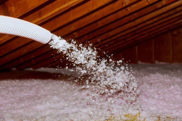 Best DIY Insulation Kits and Guidance in Frostproof, FL