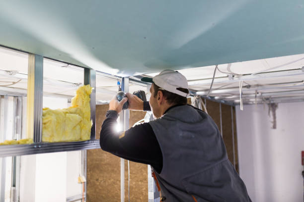 Best DIY Insulation Kits and Guidance in Frostproof, FL