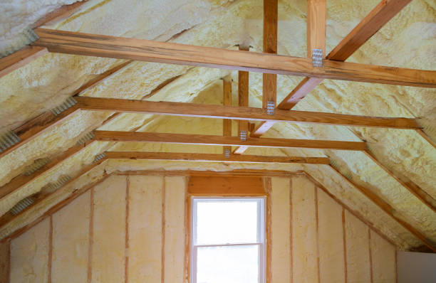 Best Specialized Insulation Services in Frostproof, FL