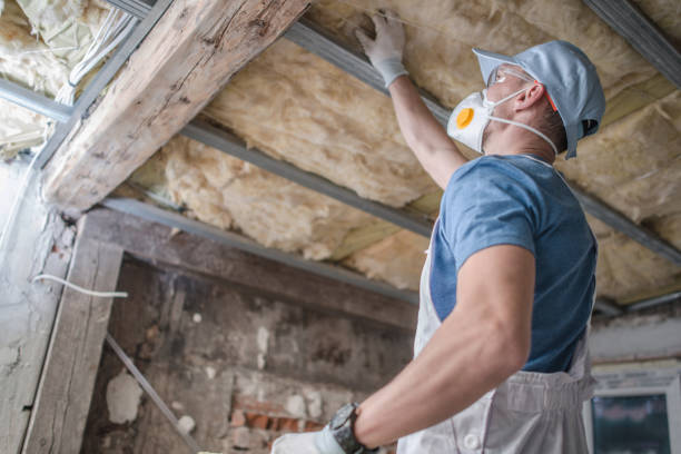 Best Spray Foam Insulation in Frostproof, FL
