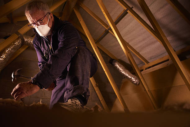 Best Commercial Insulation in Frostproof, FL